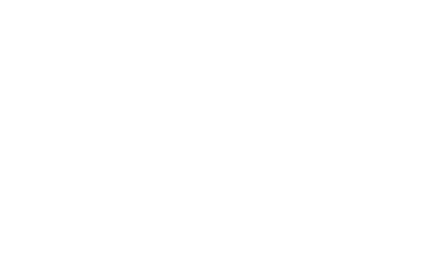 Logo White Family Children Association Garden City Ny