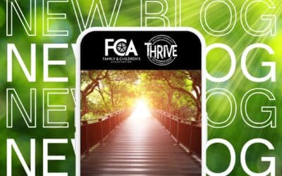 The Ladders to Success