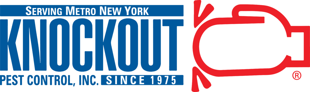 Ko Logo