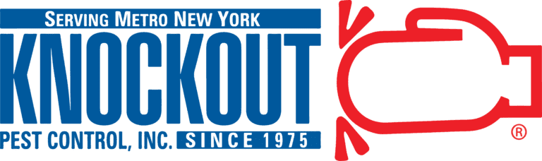 Ko Logo Ko Logo